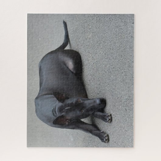 Puzzles de chiens Thai Ridgeback. (Vertical)