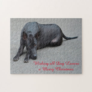 Puzzles de chiens Thai Ridgeback.