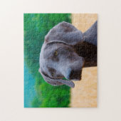 Puzzles de chiens Weimaraner. (Vertical)