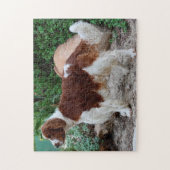 Puzzles de chiens Welsh Springer Spaniel. (Vertical)