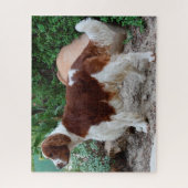 Puzzles de chiens Welsh Springer Spaniel. (Vertical)