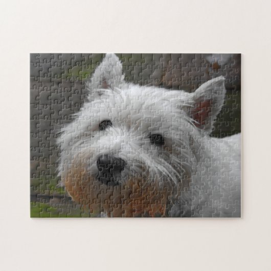 Puzzles de chiens Westie. (Horizontal)
