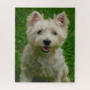 Puzzles de chiens Westie.