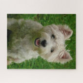 Puzzles de chiens Westie. (Horizontal)