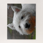 Puzzles de chiens Westie. (Vertical)