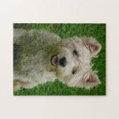 Puzzles de chiens Westie. (Horizontal)