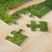 Puzzles de chiens Whippet à longs poils. (Côté)