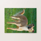 Puzzles de chiens Whippet à longs poils. (Horizontal)