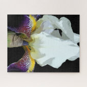 Puzzles de fleurs d'iris violettes et blanches (Horizontal)