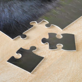 Puzzles de Husky Sibérien. (Côté)