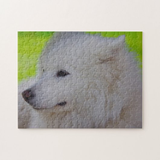 Puzzles de la chienne Laïka. (Horizontal)