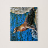 Puzzles de phoques de l'île Robben Floride. (Vertical)