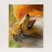 Puzzles de Rough Collie. (Vertical)