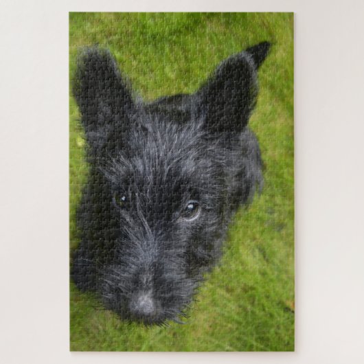 Puzzles de Terrier Écossais. (Vertical)