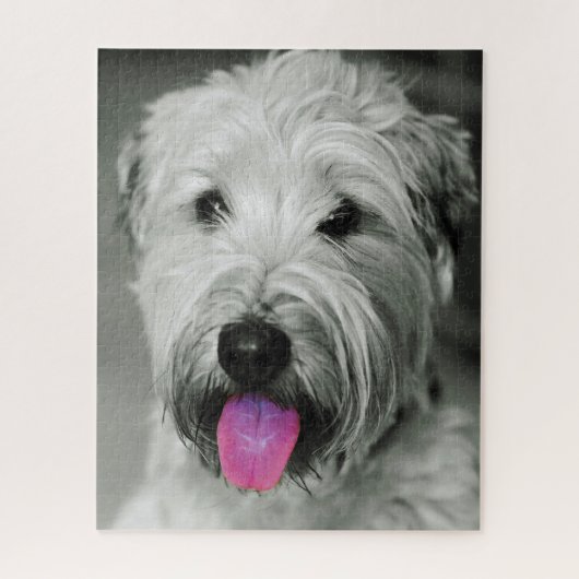 Puzzles de Terrier Irlandais. (Vertical)