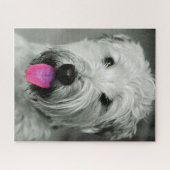Puzzles de Terrier Irlandais. (Horizontal)