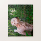 Puzzles de Terrier Irlandais. (Vertical)