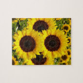 Puzzles de tournesol (Horizontal)