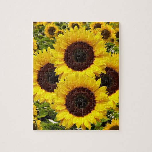 Puzzles de tournesol (Vertical)