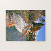 Puzzles des Pélicans de Floride. (Horizontal)
