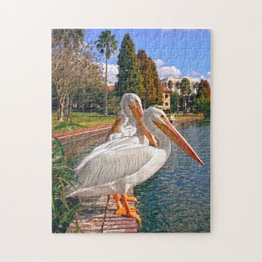 Puzzles des Pélicans de Floride. (Vertical)