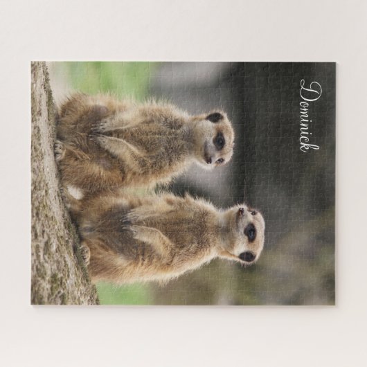 Puzzles Meerkat (Horizontal)