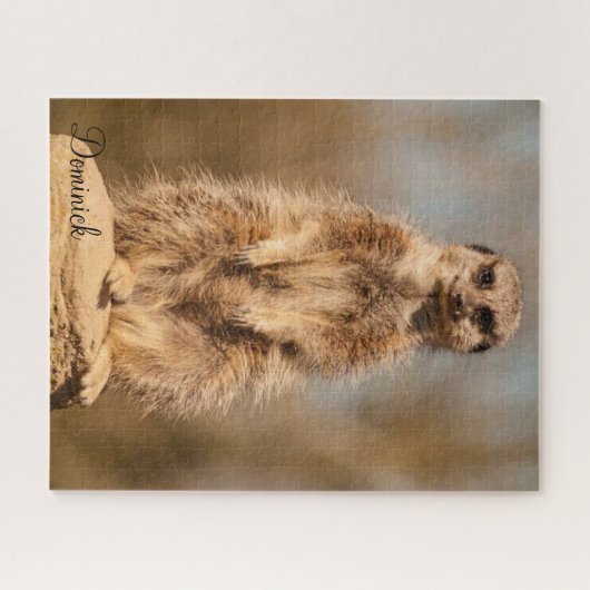 Puzzles Meerkat (Horizontal)