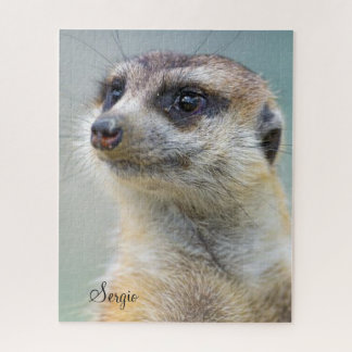 Puzzles Meerkat Legpuzzel