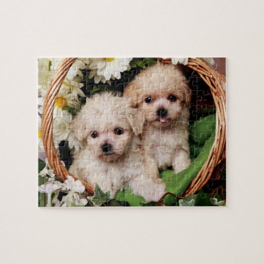 Puzzles mignons de chiot (Horizontal)