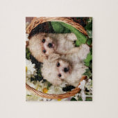 Puzzles mignons de chiot (Vertical)