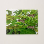 Puzzles Monkey Banana Tree Legpuzzel (Horizontaal)