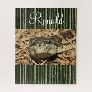 Puzzles serpent vert