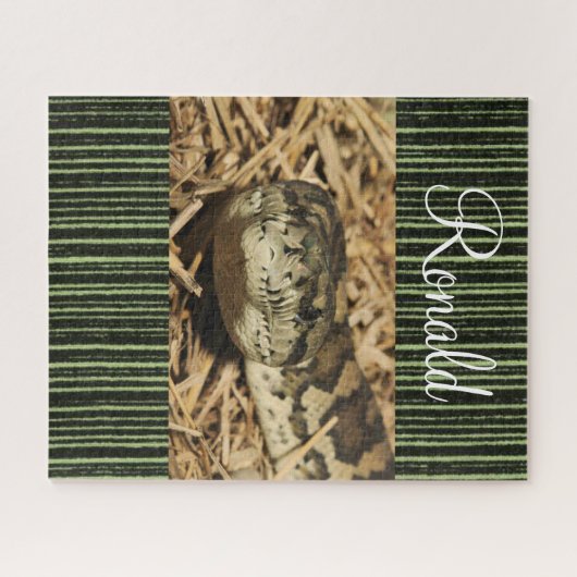 Puzzles serpent vert (Horizontal)