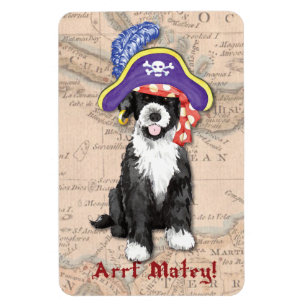PWD Pirate Magneet