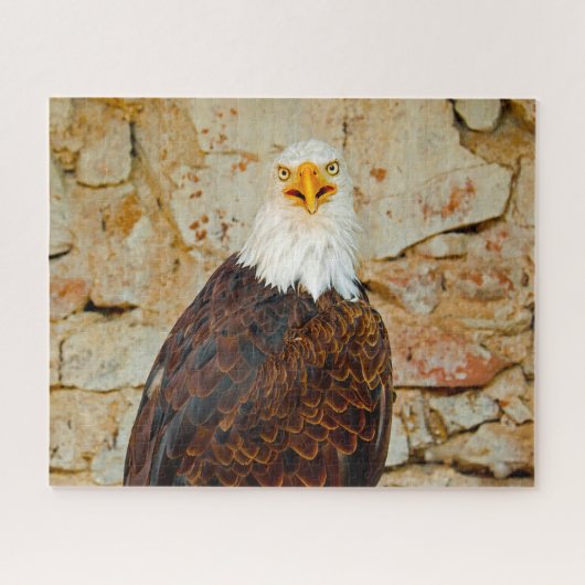 Pygargue à tête blanche Oiseau de Proie. Puzzle (Horizontal)
