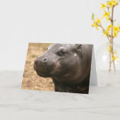 Pygmee Hippo-Wenskaart Kaart (Gele Bloem)