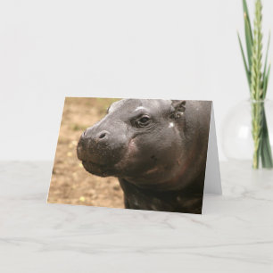 Pygmee Hippo-Wenskaart Kaart