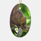 Pygmee Marmoset Magic Keramisch Ornament (Links)
