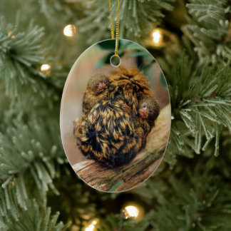 Pygmee Marmoset met Twins Keramisch Ornament