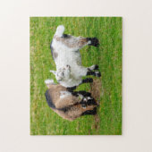Pygmy Chèvre Kids Jigsaw puzzle (Vertical)