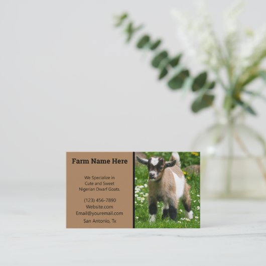 Pygmy Dwarf Goat Breeder Visitekaartje (Staand voorkant)
