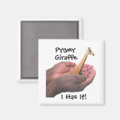 Pygmy Giraffe Magneet (Voorkant / Achterkant)