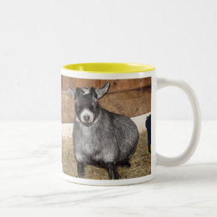 Pygmy Goat, geen ochtendmens Tweekleurige Koffiemok