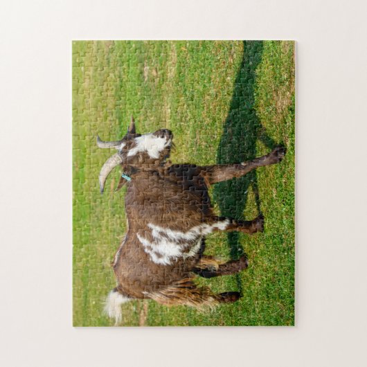 Pygmy Goat Jigzaadpuzzle Legpuzzel (Verticaal)