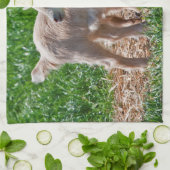 Pygmy Goat Kinder Kitchen Towel Theedoek (Gevouwen)