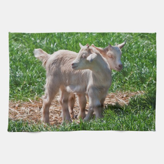Pygmy Goat Kinder Kitchen Towel Theedoek (Horizontaal)