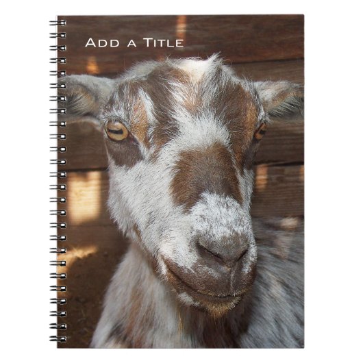 Pygmy Goat Notebook Notitieboek (Voorkant)