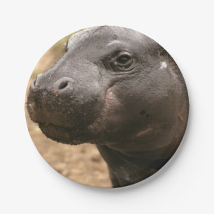 pygmy-hippo-1 papieren bordje