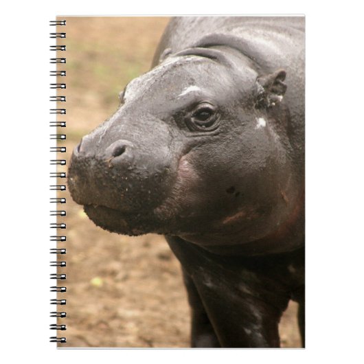 Pygmy Hippo-notebook Notitieboek (Voorkant)