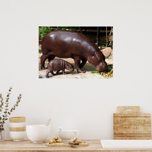 Pygmy Hippo Pair Hippopotamus Portret Poster (Keuken)